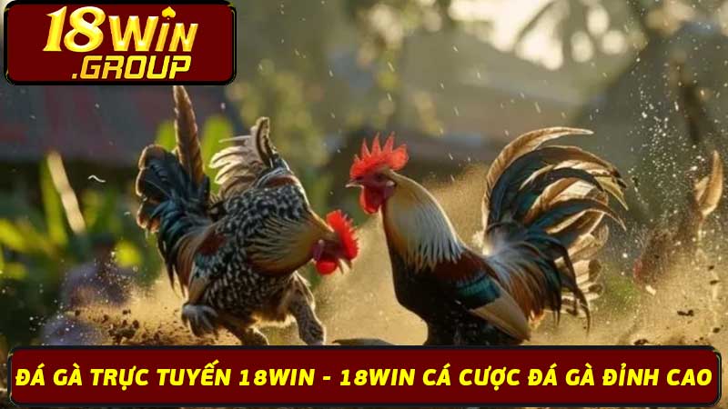 Đá Gà Trực Tuyến 18Win - 18Win Cá Cược Đá Gà Đỉnh Cao