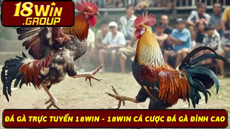 Đá Gà Trực Tuyến 18Win - 18Win Cá Cược Đá Gà Đỉnh Cao